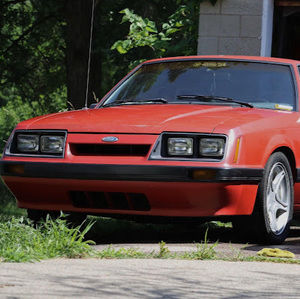 Meet your Posher, Raymond